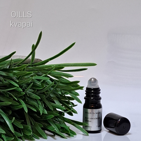 Gypsy Water pagal (Byredo) A+ klasė 5 ml.